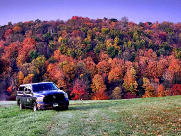 BL Vehicle in Grantsville, MD