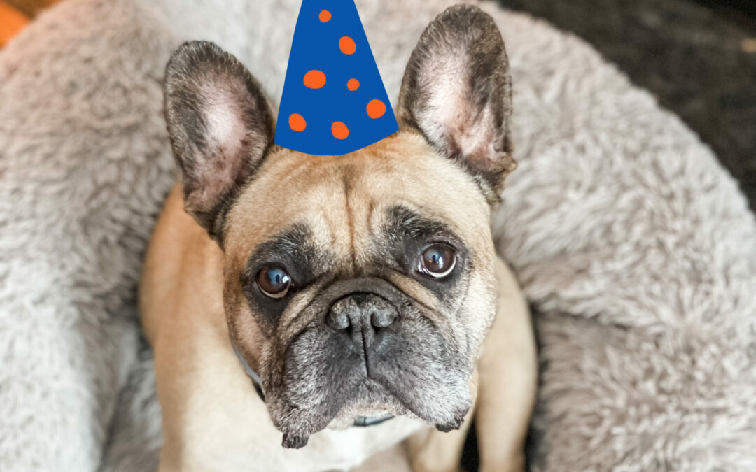 Celebrating our Mascot’s 7th Birthday