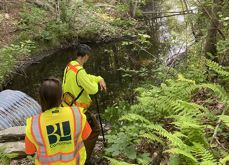 Environmental Services